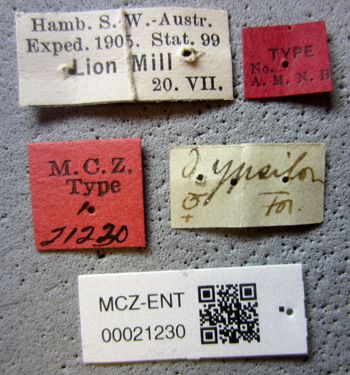 Media type: image;   Entomology 21230 Aspect: labels